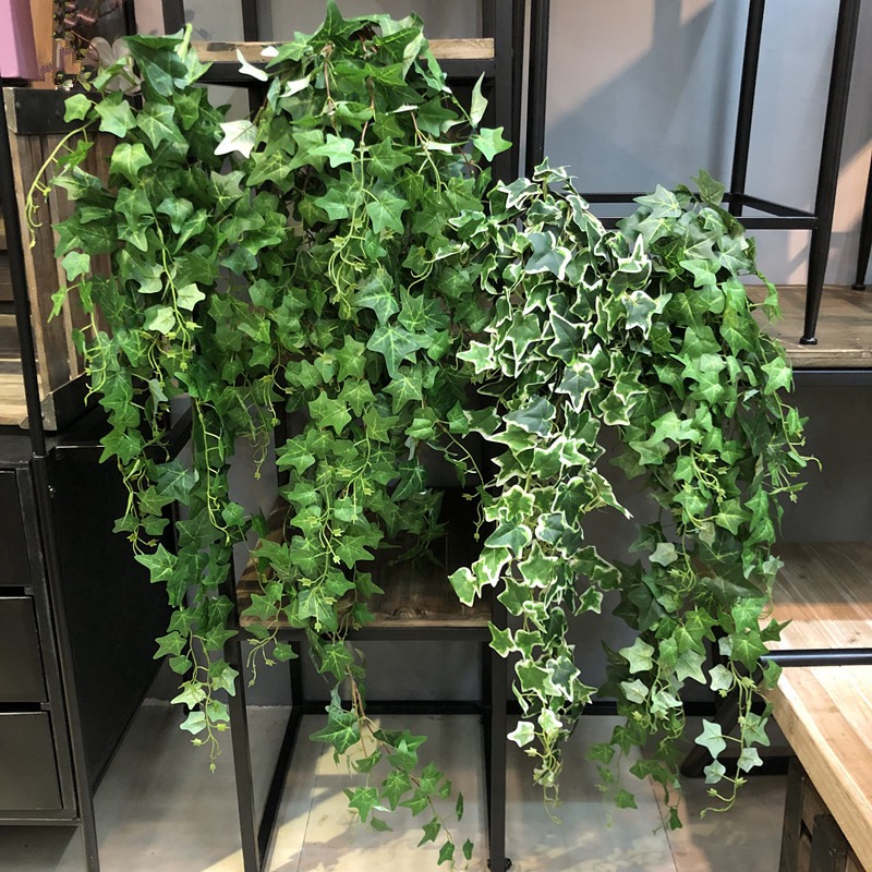 Pilea Peperomioides - 1pcs Large Bundle Artificial Vine Plants