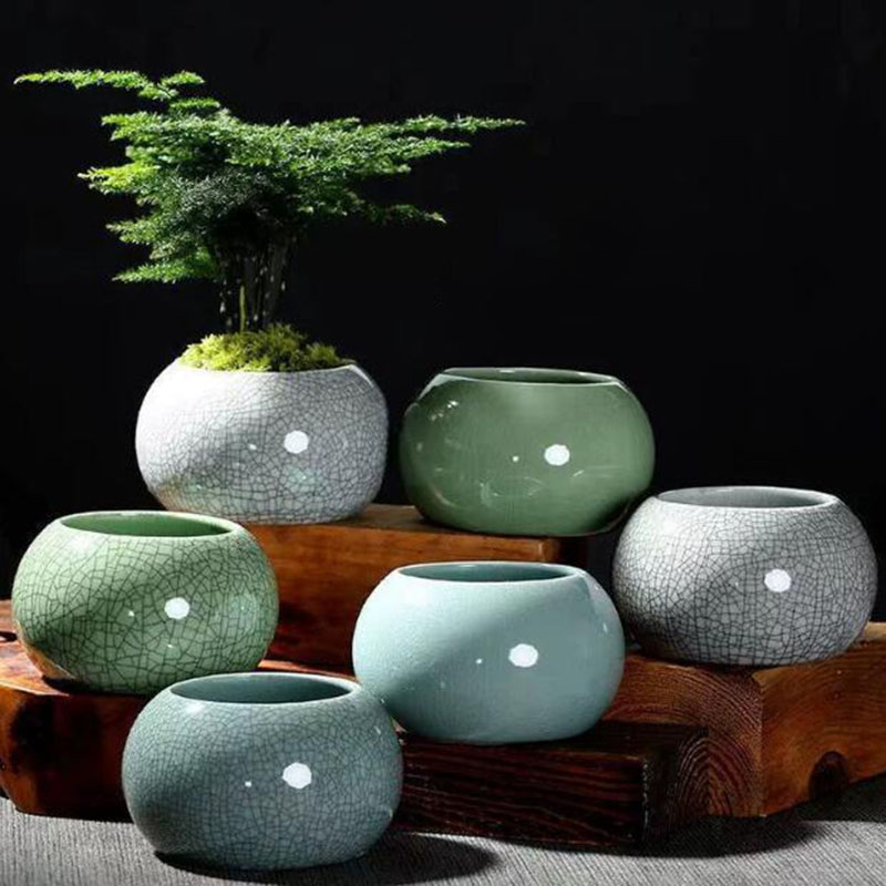 Creative Handmade Geyao Ice Cr - Pilea Peperomioides avis et prix