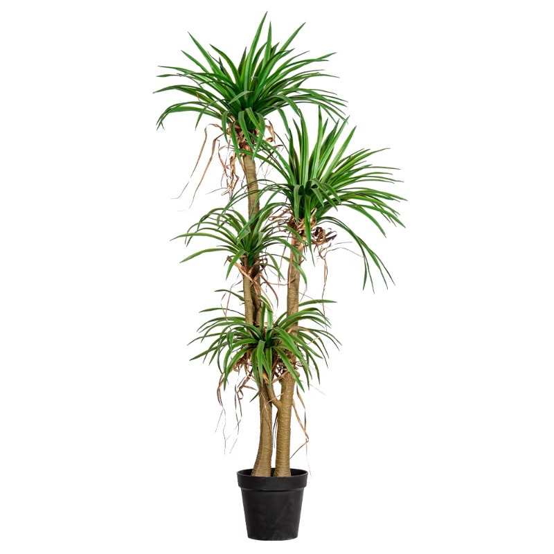 Indoor/Outdoor Home Tree Simul - Dracaena Marginata avis et prix