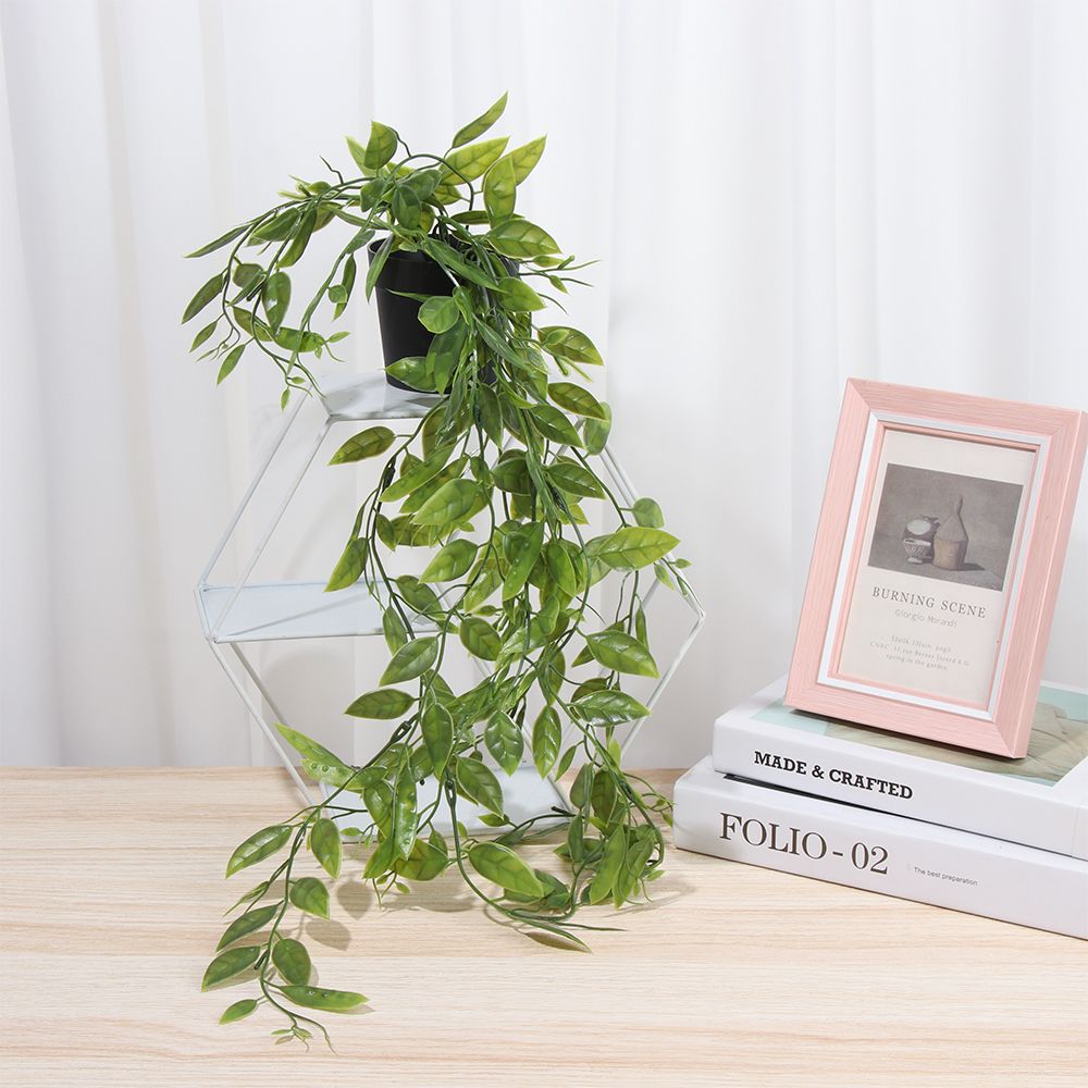 Artificial Hanging Plants with - Pilea Peperomioides avis et prix