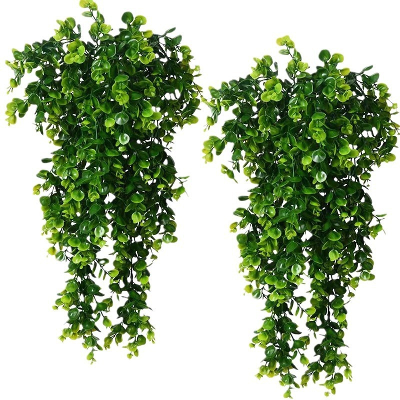 1Pcs Artificial 5Forks Rattan  - Pilea Peperomioides avis et prix