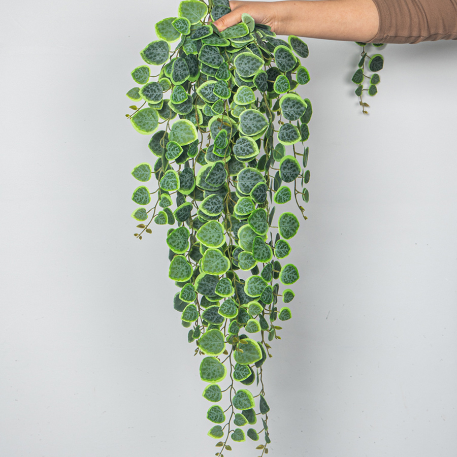 60-80cm Artificial Hanging Vin - Pilea Peperomioides avis et prix