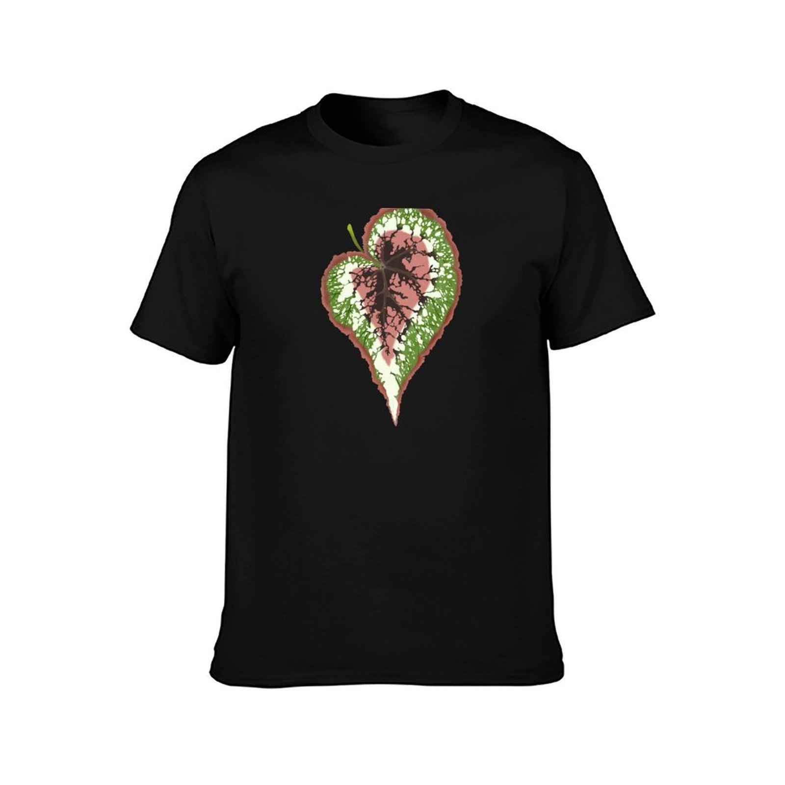 Begonia Rex T-Shirt Basic Simp - Begonia Rex avis et prix