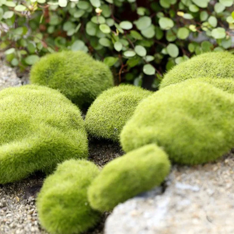 Fake Stone Artificial Moss Roc - Pilea Peperomioides avis et prix