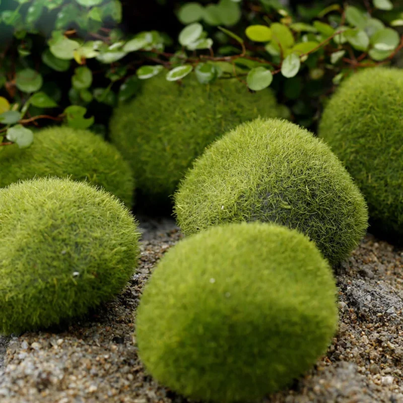 Fake Stone Artificial Moss Roc - Pilea Peperomioides avis et prix
