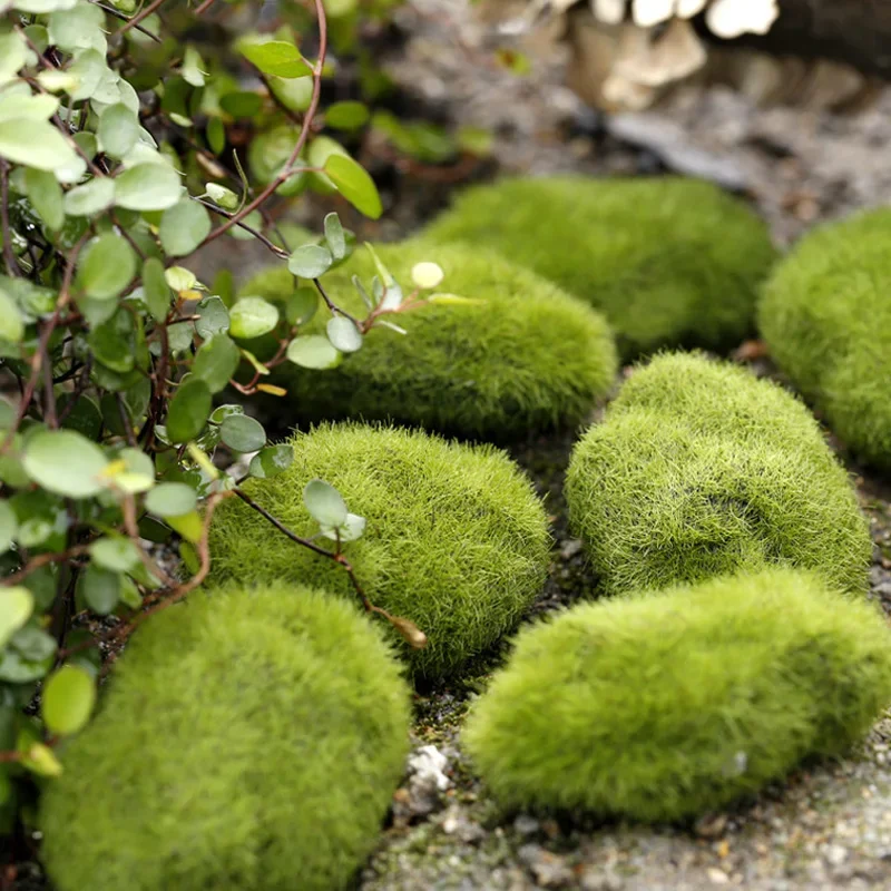 Fake Stone Artificial Moss Roc - Pilea Peperomioides avis et prix