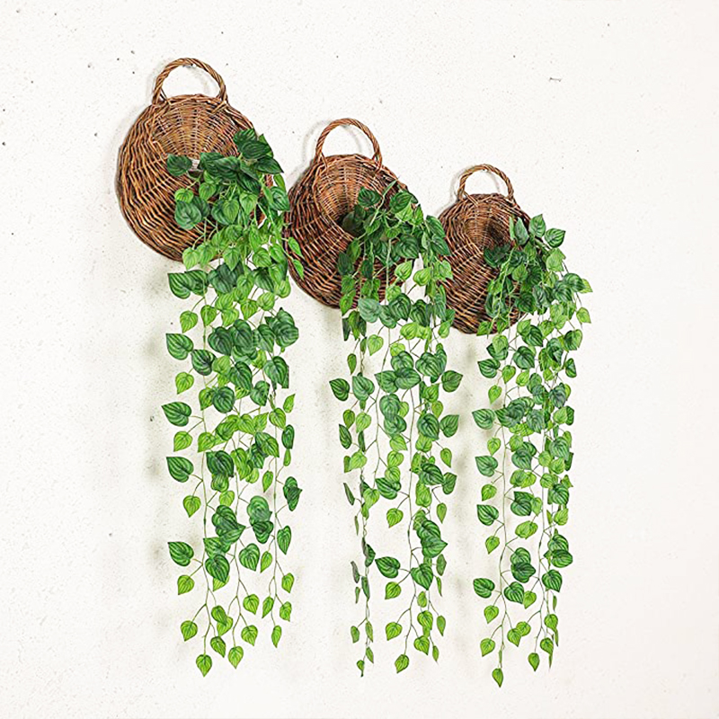 Artificial Basket Rattan Hangi - Pilea Peperomioides avis et prix