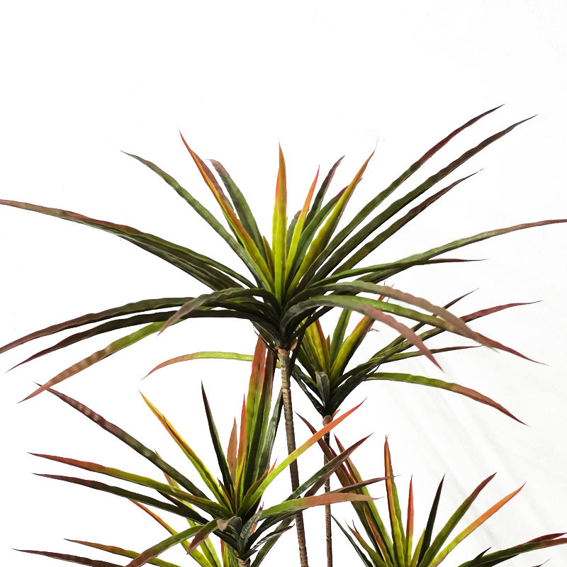 New 90-120cm Artificial Dracae - Dracaena Marginata avis et prix