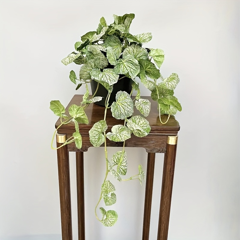 An artificial hanging vine pla - Pilea Peperomioides avis et prix