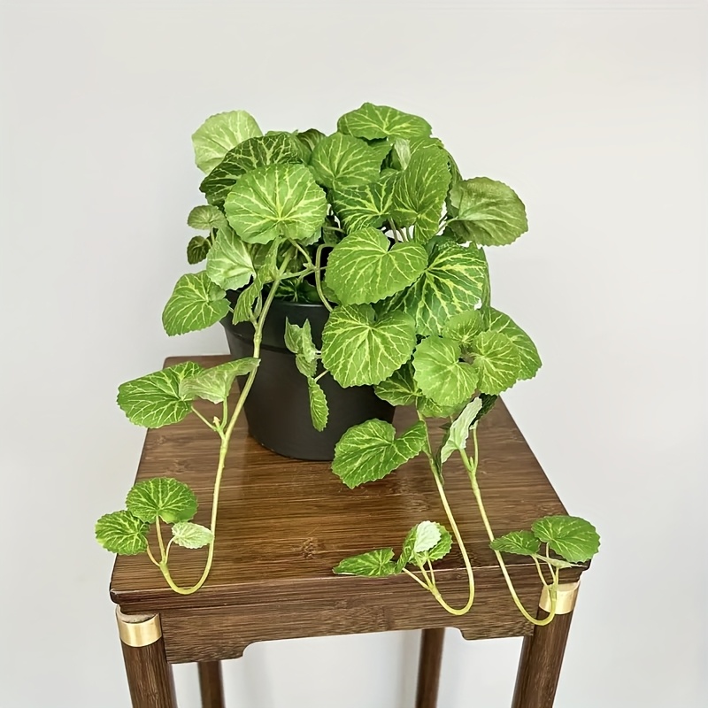 An artificial hanging vine pla - Pilea Peperomioides avis et prix