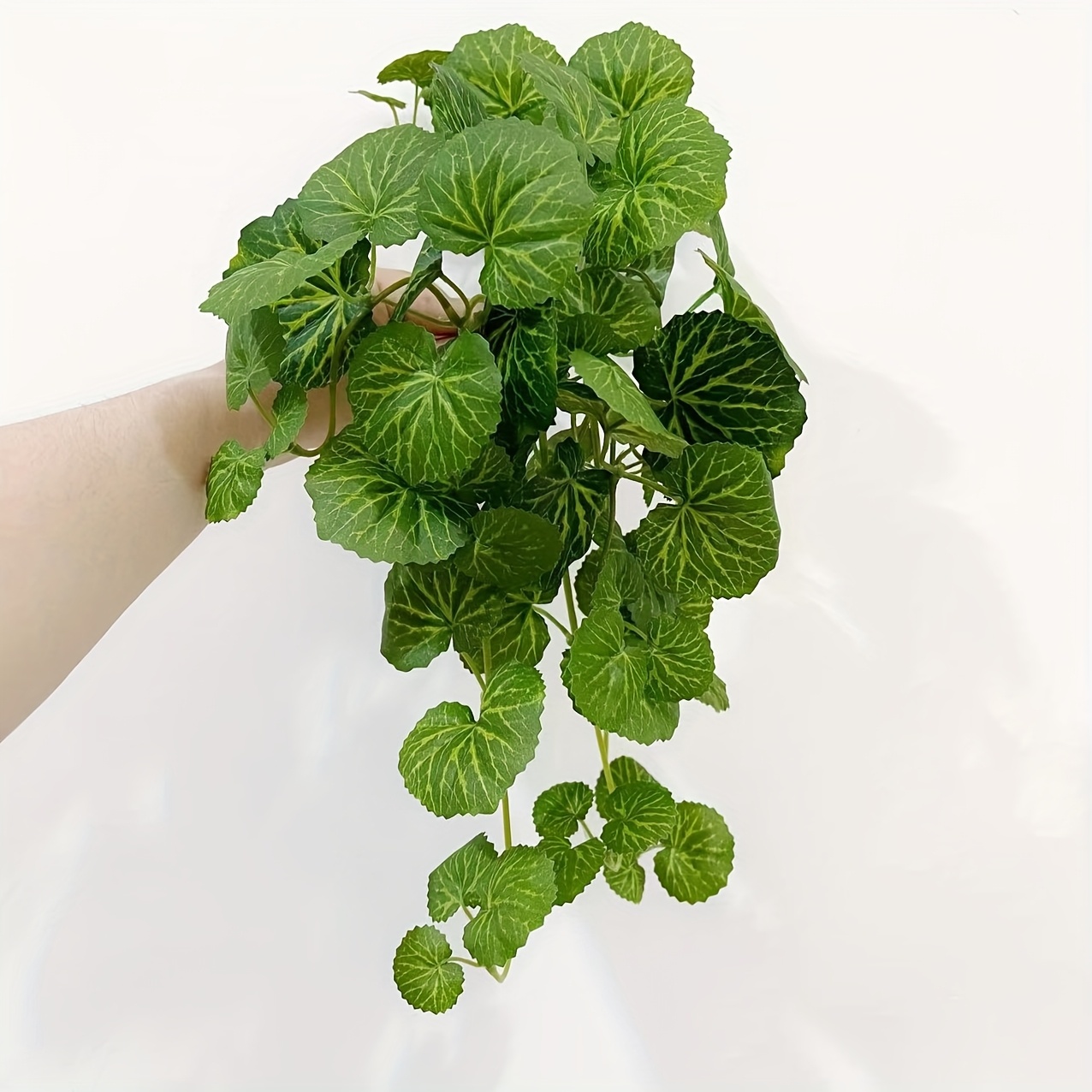 An artificial hanging vine pla - Pilea Peperomioides avis et prix