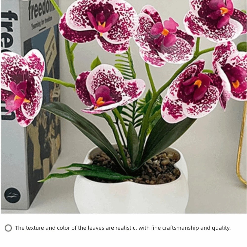 Multi-Bloom Simulated Butterfl - Pilea Peperomioides avis et prix