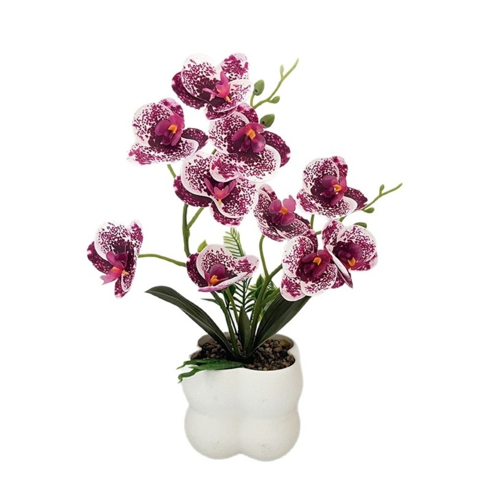 Multi-Bloom Simulated Butterfl - Pilea Peperomioides avis et prix
