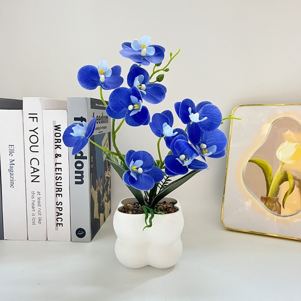 Multi-Bloom Simulated Butterfl - Pilea Peperomioides avis et prix