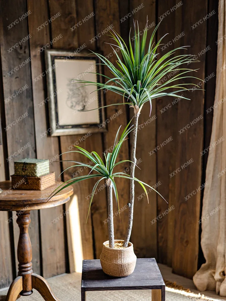 Light Luxury Simulation Green  - Dracaena Marginata avis et prix