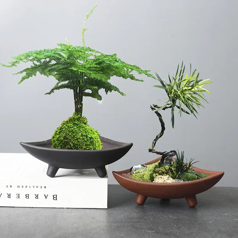 Personalized Ceramic Flower Po - Pilea Peperomioides avis et prix