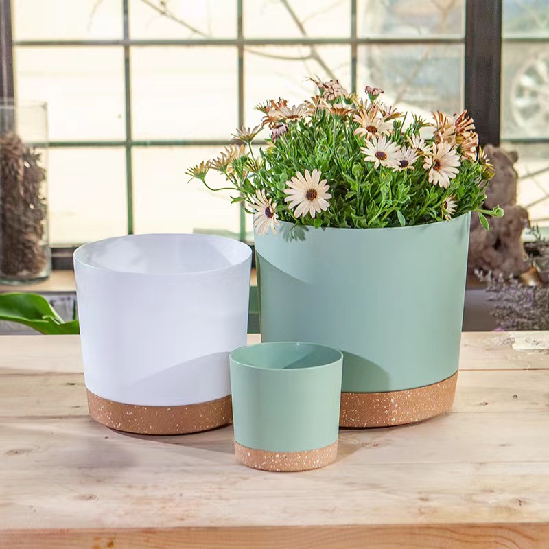 Plant POTS, lightweight large  - Pilea Peperomioides avis et prix