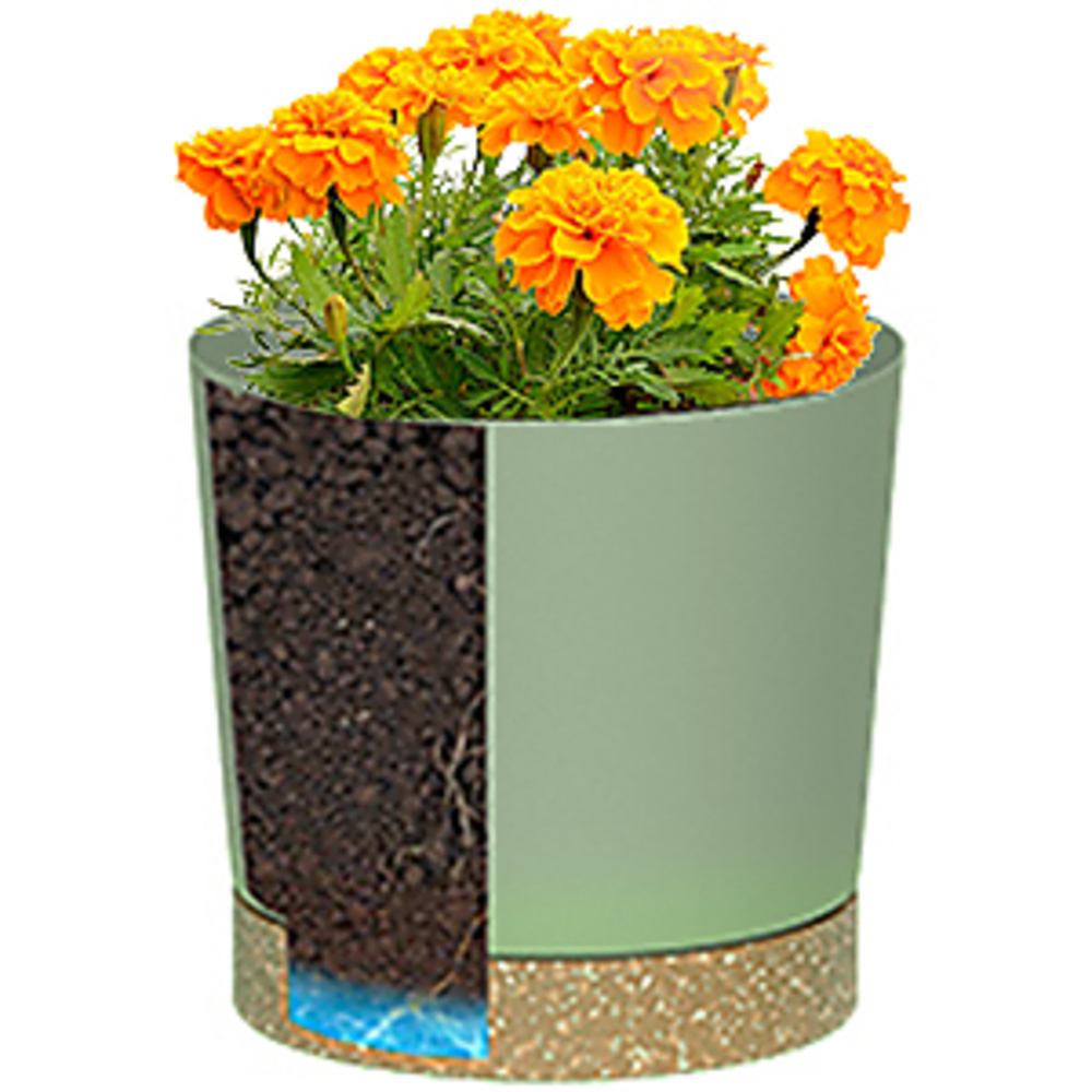 Plant POTS, lightweight large  - Pilea Peperomioides avis et prix