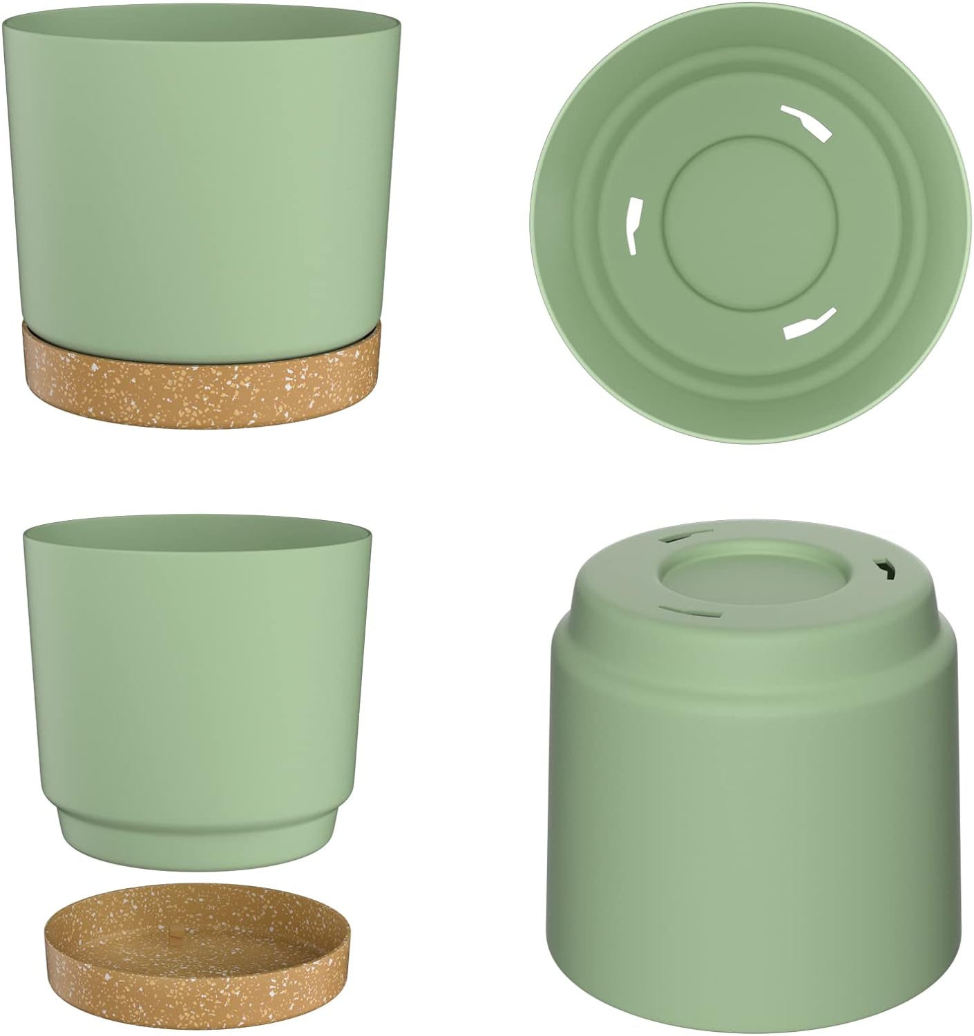 Plant POTS, lightweight large  - Pilea Peperomioides avis et prix
