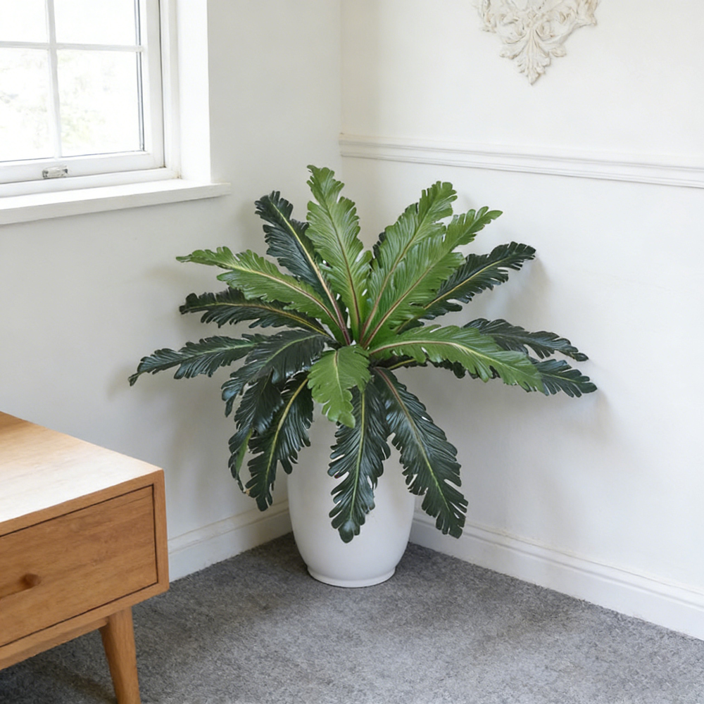 45-50cm Tropical Fake Persian  - Pilea Peperomioides avis et prix