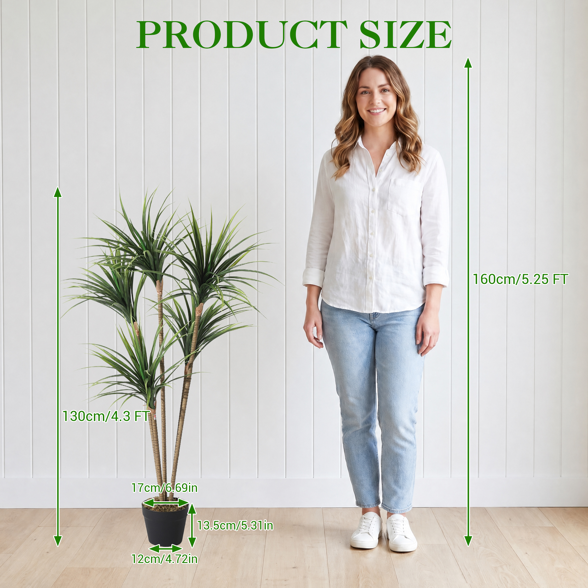 5FT 6FT Artificial Dracaena Ma - Dracaena Marginata avis et prix