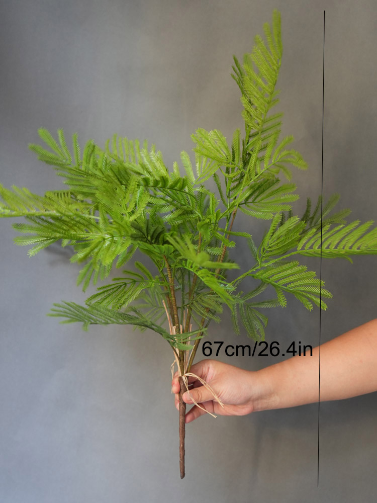 1PC Real Touch Feeling Fern le - Pilea Peperomioides avis et prix