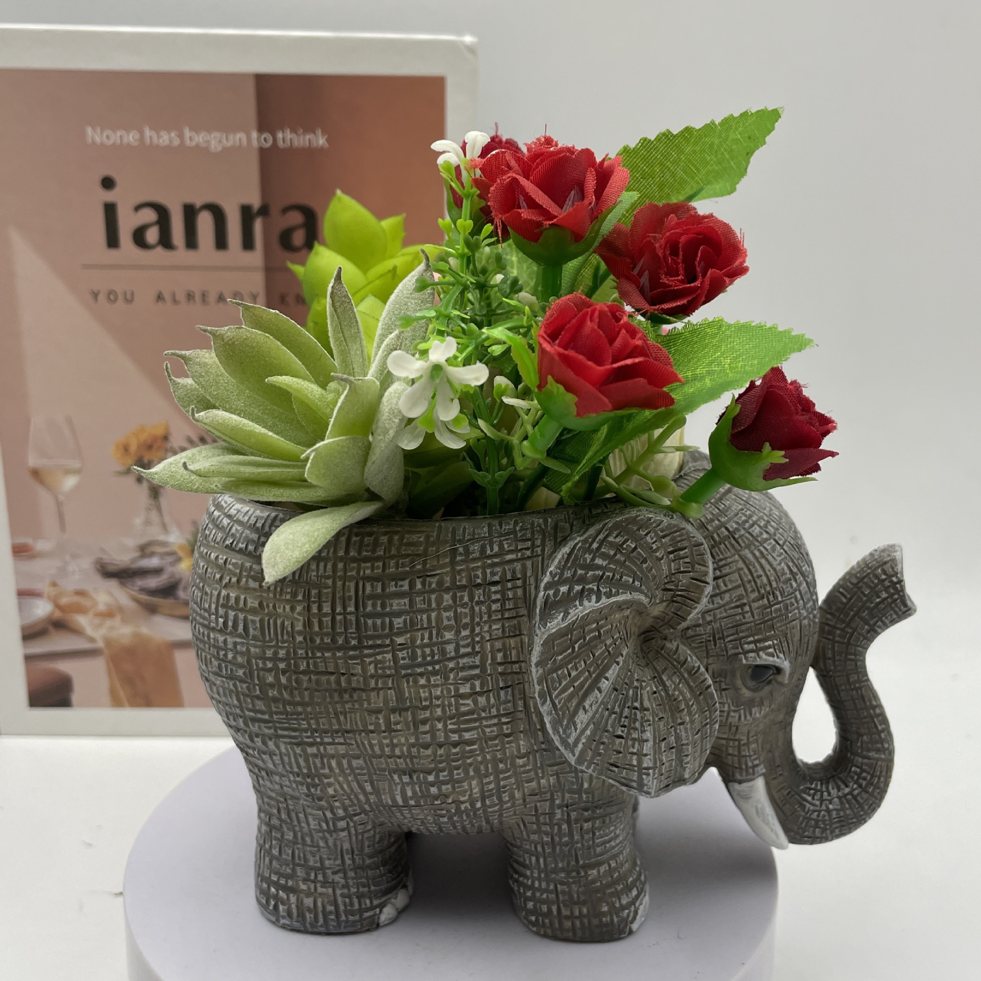 Cute Elephant Resin Succulent  - Echeveria Succulent avis et prix