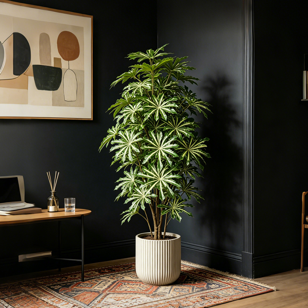 80-96cm Large Artificial Cassa - Ficus Lyrata Tree avis et prix