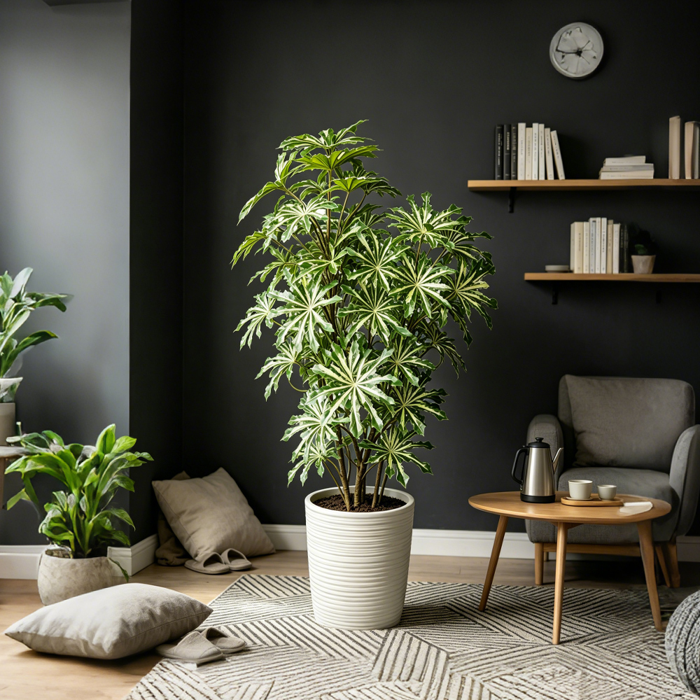 80-96cm Large Artificial Cassa - Ficus Lyrata Tree avis et prix
