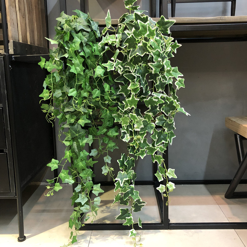 1pcs Large Bundle Artificial V - Pilea Peperomioides avis et prix