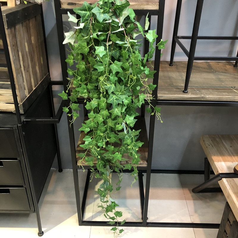 1pcs Large Bundle Artificial V - Pilea Peperomioides avis et prix