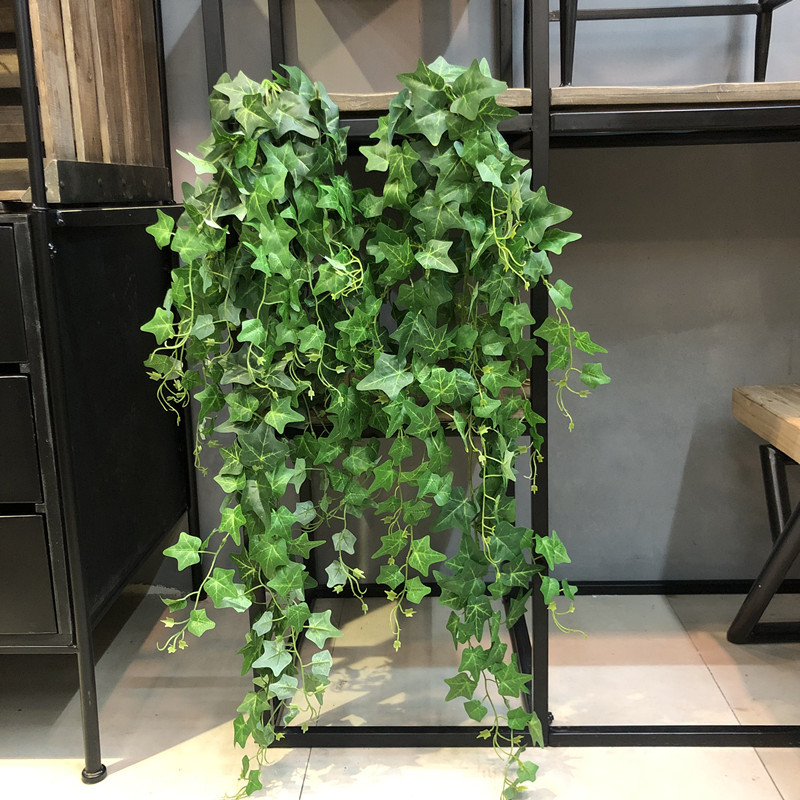 1pcs Large Bundle Artificial V - Pilea Peperomioides avis et prix