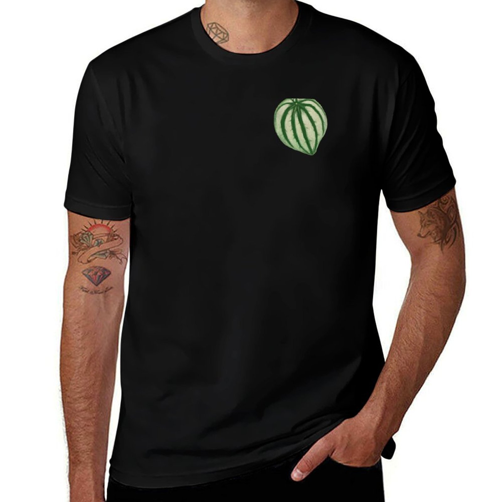 Watermelon Peperomia T-Shirt C - Peperomia Watermelon avis et prix