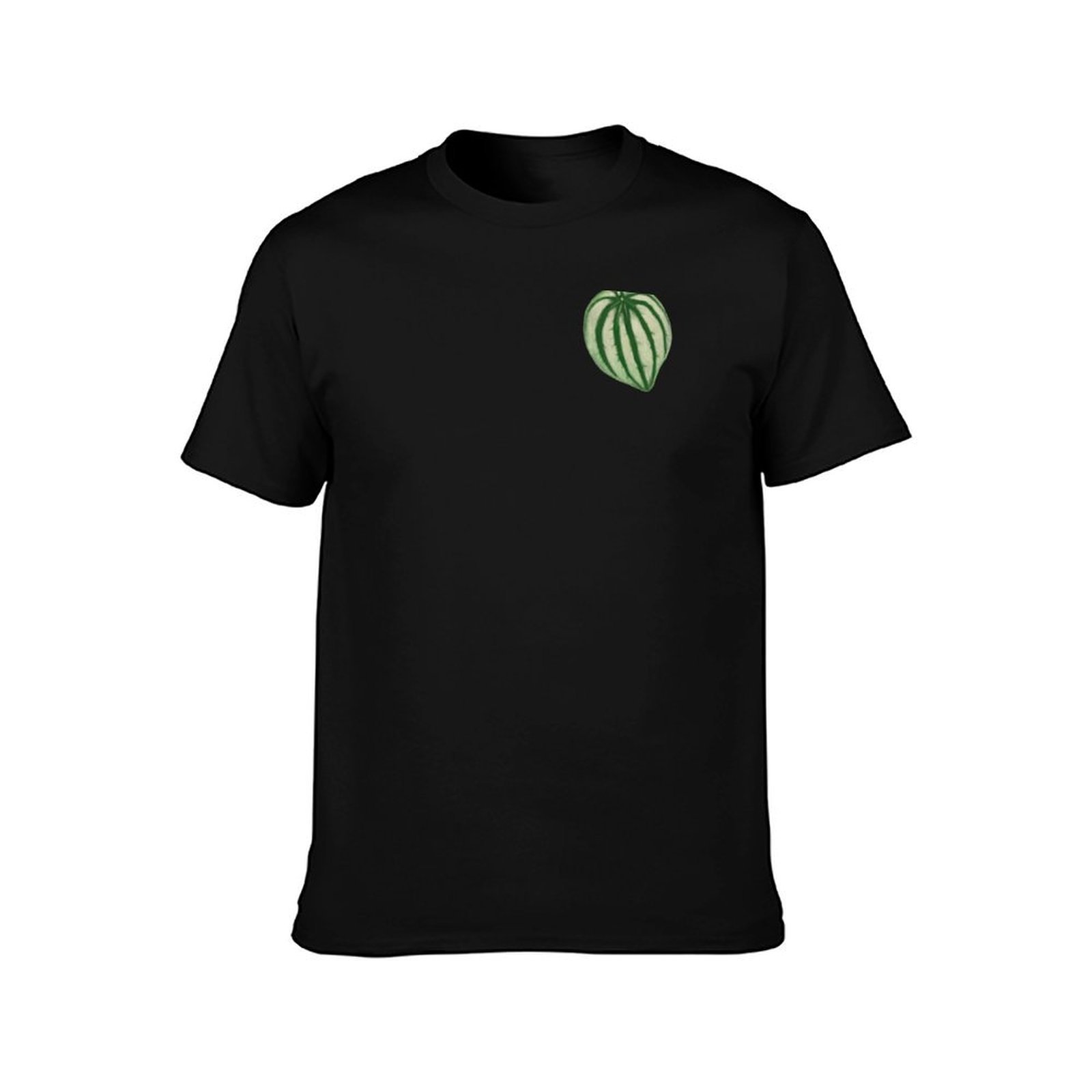 Watermelon Peperomia T-Shirt C - Peperomia Watermelon avis et prix