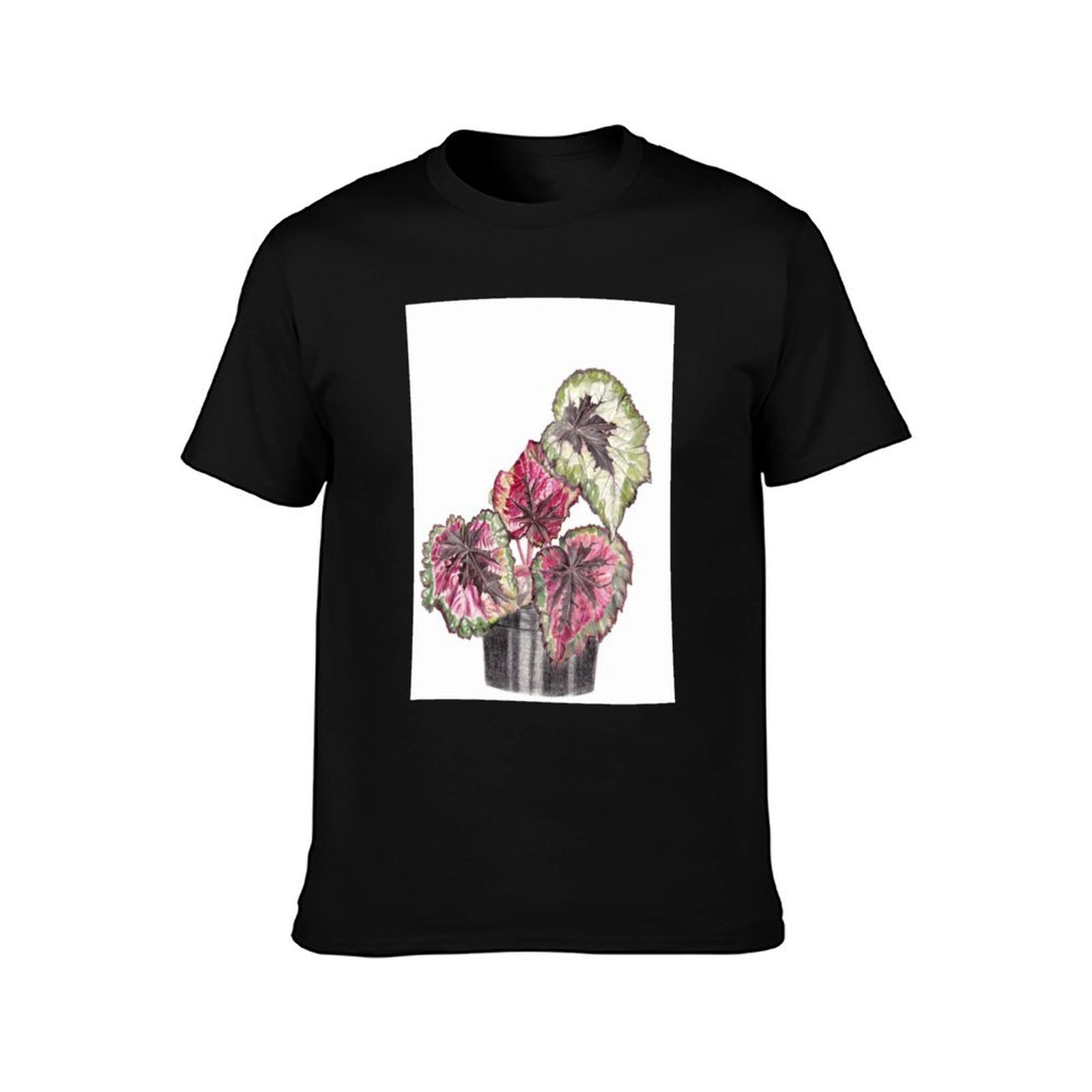 Begonia Rex T-Shirt Simple Gra - Begonia Rex avis et prix